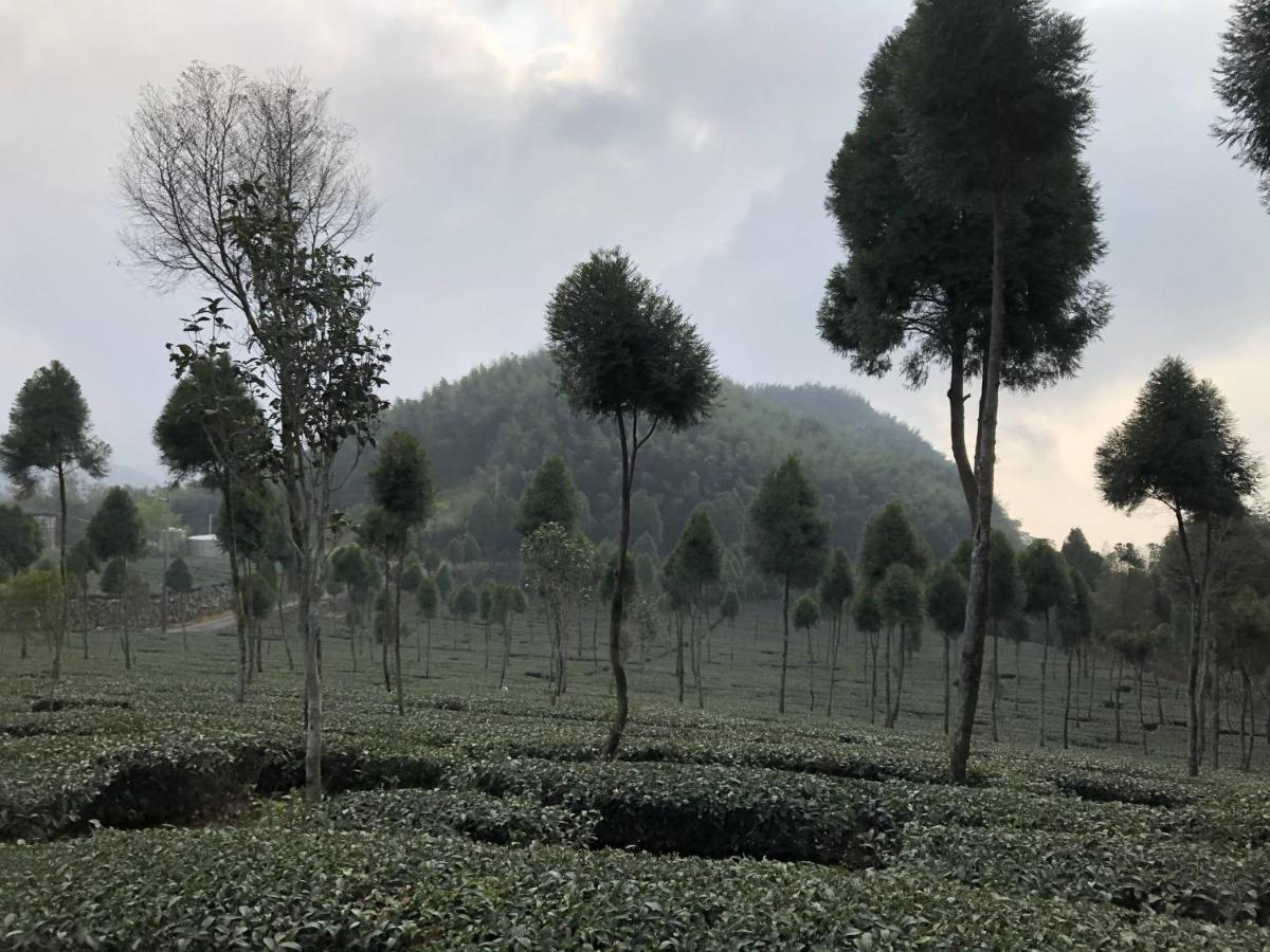 فيلا 悟 佐茶 Satori Tea Leye المظهر الخارجي الصورة